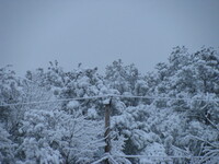 snow2010.14 (567 KiB)