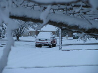 snow2010.20 (383 KiB)