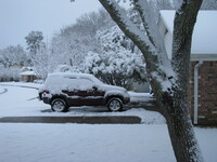 snow2010.25 (596 KiB)