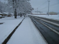 snow2010.26 (515 KiB)