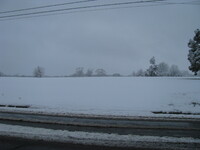 snow2010.27 (372 KiB)