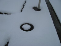 snow2010.32 (303 KiB)