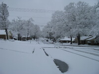 snow2010.39 (549 KiB)