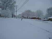 snow2010.40 (470 KiB)