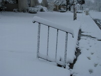 snow2010.42 (356 KiB)