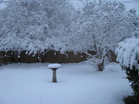 snow2010.5 (654 KiB)