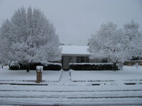 snow2010.54 (582 KiB)