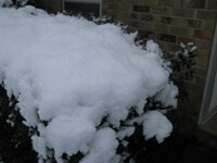 snow2010.56 (306 KiB)