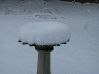 snow2010.59 (329 KiB)