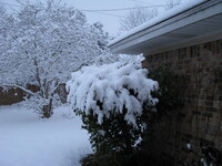 snow2010.6 (555 KiB)