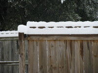 snow2010.61 (471 KiB)