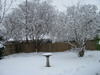 snow2010.67 (822 KiB)