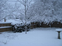 snow2010.7 (641 KiB)