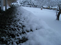 snow2010.9 (472 KiB)