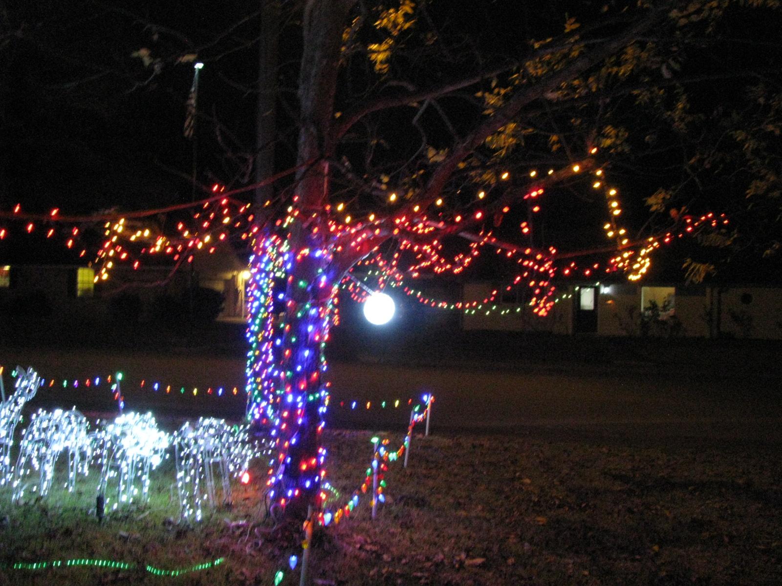 XMAS2021.4 (659 KiB)